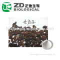 High quality 100%natural glossy privet fruit extract